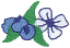 C1: White
C2: Green
C3: Blue
C4: Dk. Blue