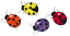 C1: Orange&#13;&#10;C2: Black&#13;&#10;C3: Yellow&#13;&#10;C4: Black&#13;&#10;C5: Purple&#13;&#10;C6: Black&#13;&#10;C7: Red&#13;&#10;C8: Black&#13;&#10;C9: White