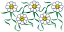 C1: Green
C2: White
C3: Yellow
C4: Black
