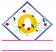 C1: Yellow
C2: Green
C3: Red
C4: Lt. Purple
C5: Pink