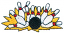 C1: Yellow
C2: White
C3: Red
C4: Black