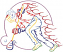 C1: Red
C2: Blue
C3: Yellow
C4: Dk. Red
C5: Lt. Blue
C6: Dk. Blue
C7: Green
C8: Purple