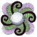 C1: Lt. Green
C2: Lt. Purple
C3: Purple
C4: White
C5: Lt. Gray