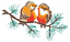 C1: White
C2: Lt. Orange
C3: Orange
C4: Tan
C5: Green
C6: Brown