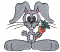 C1: Gray
C2: Orange
C3: Green
C4: White
C5: Pink
C6: Black