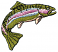 C1: Green
C2: Lt. Orange
C3: Blue
C4: Pink
C5: Black