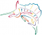 C1: Red
C2: Purple
C3: Orange
C4: Green
C5: Yellow
C6: Blue