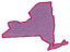 C1: Purple
C2: Dk. Pink