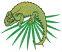C1: Green
C2: Dk. Yellow
C3: Lt. Green
C4: Dk. Yellow
C5: Dk. Green