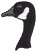 C1: White
C2: Gray
C3: Black
C4: Gray
