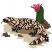 C1: Tan
C2: Med. Taupe
C3: Brown
C4: Green
C5: Dk. Green
C6: Pink
C7: Dk. Pink
C8: Lt. Blush
C9: Lt. Rust
C10: Mauve
C11: Black
C12: Lt. Blush
C13: