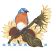 C1: Lt. Lt. Gold
C2: Lt. Lt. Tangerine
C3: Dk. Dk. Gold2
C4: Dk. Brown
C5: Dk. Beige
C6: Dk. Dk. Taupe
C7: Pearl
C8: Lt. Blue2
C9: Lt. Lt. Gold
C10: Lt. Lt. Tangerine