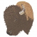 C1: Dk. Dk. Taupe
C2: Brown2
C3: Lt. Brown
C4: Med. Tan
C5: Dk. Charcoal
C6: Lt. Lt. Taupe
C7: Lt. Brown2
C8: Dk. Dk. Tan
C9: Med. Tan
C10: Brown2
C11: Black