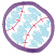 C1: Lt. Blue
C2: Pink
C3: Lt. Purple