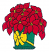 C1: Green
C2: Yellow
C3: Red
C4: Black