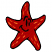 C1: Star---Poinsettia(Isacord 40 #1147)
C2: Outline---Black(Isacord 40 #1234)
C3: Spots---Tangerine(Isacord 40 #1078)
