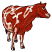 C1: Nose & Hooves---Tea Rose(Isacord 40 #1015)
C2: Tail & Eye---Cinnamon(Isacord 40 #1247)
C3: Cow---Muslin(Isacord 40 #1082)
C4: Cow Shading---Tan(Isacord 40 #1054)
C5: Cow Spots---Spice(Isacord 40 #1181)
C6: