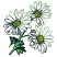 C1: Center---Bright Mint(Isacord 40 #1510)&#13;&#10;C2: Leaves---Backyard Green(Isacord 40 #1175)&#13;&#10;C3: Leaves---Kiwi(Isacord 40 #1104)&#13;&#10;C4: Petals---White(Isacord 40 #1002)&#13;&#10;C5: Dark Green Outline---Backyard Green(Isacord 40 #1175)
