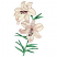 C1: Stem & Leaves---Kiwi(Isacord 40 #1104)
C2: Stem & Leaves Shading---Pear(Isacord 40 #1049)
C3: Flower---Muslin(Isacord 40 #1082)
C4: Flower Accents---Teaberry(Isacord 40 #1213)
C5: Flower Center---Bordeaux(Isacord 40