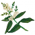C1: Leaves---Lime(Isacord 40 #1176)&#13;&#10;C2: Leaf Highlights---Lima Bean(Isacord 40 #1177)&#13;&#10;C3: Leaf Veining---Evergreen(Isacord 40 #1208)&#13;&#10;C4: Leaf Outlines---Forest Green(Isacord 40 #1536)&#13;&#10;C5: Flower Centers---Ginger(Isacord