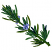 C1: Stem & Leaves---Moss Green(Isacord 40 #1176)&#13;&#10;C2: Leaves & Stem Outlines---Lime(Isacord 40 #1176)&#13;&#10;C3: Blossoms---Cadet Blue(Isacord 40 #1226)&#13;&#10;C4: Blossom Shading & Outlines---Blueberry(Isacord 40 #1235)&#13;&#10;C5: Dark Leav