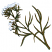C1: Flowers---White(Isacord 40 #1002)&#13;&#10;C2: Flower Outlines---Oxford(Isacord 40 #1222)&#13;&#10;C3: Leaves & Stems---Caper(Isacord 40 #1227)&#13;&#10;C4: Leaves & Stems Highlights---Lima Bean(Isacord 40 #1177)&#13;&#10;C5: Leaves & Stems Outlines--