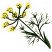 C1: Flowers---Citrus(Isacord 40 #1187)
C2: Light Leaves & Stems---Grasshopper(Isacord 40 #1176)
C3: Dark Leaves & Stems---Backyard Green(Isacord 40 #1175)