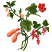 C1: Fruit---Salmon(Isacord 40 #1259)&#13;&#10;C2: Shading---Terra Cotta(Isacord 40 #1081)&#13;&#10;C3: Flower---Dusty Mauve(Isacord 40 #1119)&#13;&#10;C4: Shading---Blossom(Isacord 40 #1257)&#13;&#10;C5: Leaves---Lima Bean(Isacord 40 #1177)&#13;&#10;C6: S