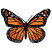 C1: Spots---White(Isacord 40 #1002)
C2: Inside Wing Fade---Yellow Bird(Isacord 40 #1124)
C3: Inside Wing---Apricot(Isacord 40 #1238)
C4: Shade Inside Wing---Date(Isacord 40 #1216)
C5: Outside Edge---Charcoal(Isacord 40