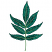 C1: Leaves---Swiss Ivy(Isacord 40 #1079)
C2: Shading---Lime(Isacord 40 #1176)
C3: Stem---Bright Mint(Isacord 40 #1510)