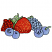 C1: Stem & Leaves---Kiwi(Isacord 40 #1104)
C2: Leaf Shade---Moss Green(Isacord 40 #1176)
C3: Blueberries---Cadet Blue(Isacord 40 #1226)
C4: Blueberry Shade---Azure Blue(Isacord 40 #1203)
C5: Blackberries---Azure Blue(Is