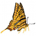 C1: Wings---Papaya(Isacord 40 #1024)
C2: Shading---Toffee(Isacord 40 #1126)
C3: Spots---Geranium(Isacord 40 #1039)
C4: Spots---Oxford(Isacord 40 #1222)
C5: Outline---Black(Isacord 40 #1234)