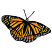 C1: Wings---Goldenrod(Isacord 40 #1137)&#13;&#10;C2: Highlight---Tangerine(Isacord 40 #1078)&#13;&#10;C3: Body---Charcoal(Isacord 40 #1234)&#13;&#10;C4: Wings & Outlines---Black(Isacord 40 #1234)&#13;&#10;C5: Detail---White(Isacord 40 #1002)