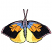 C1: Wing Bottoms---Sun - neon(Isacord 40 #1187)
C2: Wing Bottoms---Goldenrod(Isacord 40 #1137)
C3: Wing Centers---Apricot(Isacord 40 #1238)
C4: Body---Smoke(Isacord 40 #1219)
C5: Wing Tops---Celestial(Isacord 40 #1028)&