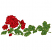 C1: Flowers---Raspberry(Isacord 40 #1511)
C2: Flower Outline---Burgundy(Isacord 40 #1169)
C3: Leaves---Lima Bean(Isacord 40 #1177)
C4: Leaf Details---Lime(Isacord 40 #1176)