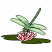 C1: Lily Pad---Grasshopper(Isacord 40 #1176)
C2: Flower---Blush(Isacord 40 #1113)
C3: Flower Shading---Tropicana(Isacord 40 #1511)
C4: Wings---Spring Frost(Isacord 40 #1047)
C5: Body---Pear(Isacord 40 #1049)
C6
