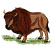 C1: Grass---Pear(Isacord 40 #1049)&#13;&#10;C2: Buffalo Rear Quarters---Pecan(Isacord 40 #1128)&#13;&#10;C3: Buffalo Head & Chest---Fox(Isacord 40 #1186)&#13;&#10;C4: Shading---Chocolate(Isacord 40 #1059)&#13;&#10;C5: Horns---Sisal(Isacord 40 #1055)&#13;&