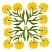 C1: Stems & Leaves---Lima Bean(Isacord 40 #1177)&#13;&#10;C2: Flowers---Canary(Isacord 40 #1124)