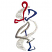 C1: Background---Silver Metallic(Yenmet/ Isamet #7009)
C2: Head  & Right Arm---Poinsettia(Isacord 40 #1147)
C3: Right  Leg & Left Arm---Nordic Blue(Isacord 40 #1076)
C4: Left  Leg---Smoke(Isacord 40 #1219)