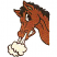 C1: Breath, Eyes & Mouth---White(Isacord 40 #1002)&#13;&#10;C2: Inside Ear---Ivory(Isacord 40 #1149)&#13;&#10;C3: Horse---Nutmeg(Isacord 40 #1056)&#13;&#10;C4: Outline---Black(Isacord 40 #1234)