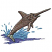 C1: Tail---Smoke(Isacord 40 #1219)&#13;&#10;C2: Water---Nordic Blue(Isacord 40 #1076)&#13;&#10;C3: Fish---Sterling(Isacord 40 #1011)&#13;&#10;C4: Splash---Oxford(Isacord 40 #1222)&#13;&#10;C5: Details & Outlines---Black(Isacord 40 #1234)