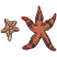 C1: Sand Dollars---Twine(Isacord 40 #1017)
C2: Sand Dollars Background---Oat(Isacord 40 #1127)
C3: Sand Dollar Outline---Steel(Isacord 40 #1166)
C4: Starfish Tips---Tangerine(Isacord 40 #1078)
C5: Starfish---Fox Fire(Is
