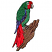 C1: Tree---Cinnamon(Isacord 40 #1247)&#13;&#10;C2: Beak & Claws---Sterling(Isacord 40 #1011)&#13;&#10;C3: Wing---Wedgewood(Isacord 40 #1028)&#13;&#10;C4: Body---Green(Isacord 40 #1503)&#13;&#10;C5: Face & Tail---Poinsettia(Isacord 40 #1147)&#13;&#10;C6: I