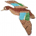 C1: Underlay---Muslin(Isacord 40 #1082)
C2: Wing---Crystal Blue(Isacord 40 #1249)
C3: Wing---Swiss Ivy(Isacord 40 #1079)
C4: Underside---Palomino(Isacord 40 #1070)
C5: Bird Body---Taupe(Isacord 40 #1179)
C6: Bo