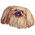 C1: Base---Meringue(Isacord 40 #1017)
C2: Medium Shading---Sisal(Isacord 40 #1055)
C3: Highlights---Muslin(Isacord 40 #1082)
C4: Eyes & Dark Shading---Nutmeg(Isacord 40 #1056)
C5: Muzzle---Dolphin(Isacord 40 #1219)