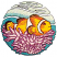 C1: Background---Snowmoon(Isacord 40 #1151)
C2: Background---Caribbean Blue(Isacord 40 #1094)
C3: Stripes---White(Isacord 40 #1002)
C4: Fish---Canary(Isacord 40 #1124)
C5: Shading---Pumpkin(Isacord 40 #1168)
C6