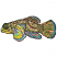 C1: Face & Front Fin---Canary(Isacord 40 #1124)
C2: Front Fin---Oxford(Isacord 40 #1222)
C3: Fins & Tail---Caribbean Blue(Isacord 40 #1094)
C4: Stripes---Bright Mint(Isacord 40 #1510)
C5: Body & Tail---Salmon(Isacord 40