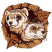 C1: Rock Fill---Pecan(Isacord 40 #1128)
C2: Shading---Pine Bark(Isacord 40 #1170)
C3: Leaves---Date(Isacord 40 #1216)
C4: Leaves Shading---Rust(Isacord 40 #1058)
C5: Ferrets---Muslin(Isacord 40 #1082)
C6: Ferre