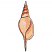 C1: Shell---Shrimp Pink(Isacord 40 #1017)
C2: Shading---Pink Clay(Isacord 40 #1019)
C3: Stripes---Nutmeg(Isacord 40 #1056)
C4: Highlights---White(Isacord 40 #1002)
C5: Outlines---Chocolate(Isacord 40 #1059)
