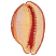 C1: Inside Shell---Spice(Isacord 40 #1181)
C2: Inside Accent---Blossom(Isacord 40 #1257)
C3: Main---Shrimp Pink(Isacord 40 #1017)
C4: Shading---Aura(Isacord 40 #1111)
C5: Shading---Salmon(Isacord 40 #1259)
C6: